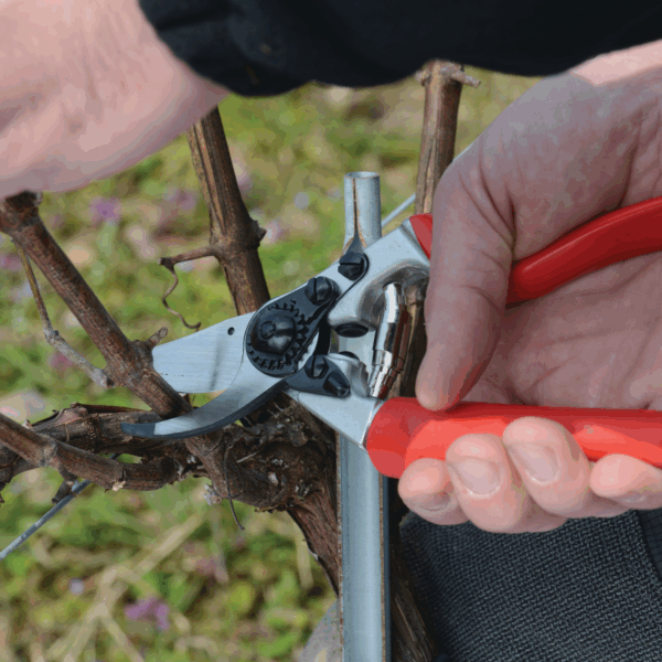 Handschere – Bild 2