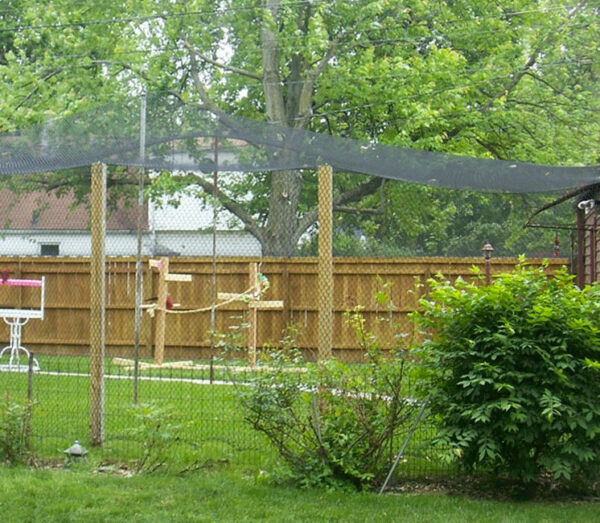 Vogelschutznetz – Bild 4