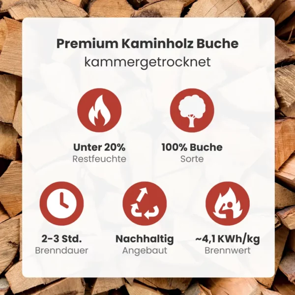 Vorteilspakete: Kaminholz Buche - Image 5
