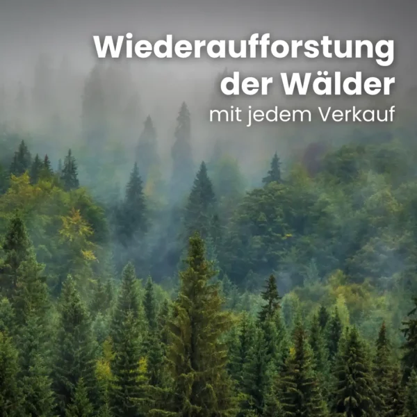 Kaminholz Birke waldfrisch - Image 7